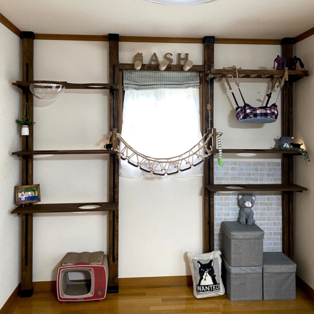 ペットと快適に暮らす部屋作り｜おしゃれDIYで実現する住まいの工夫